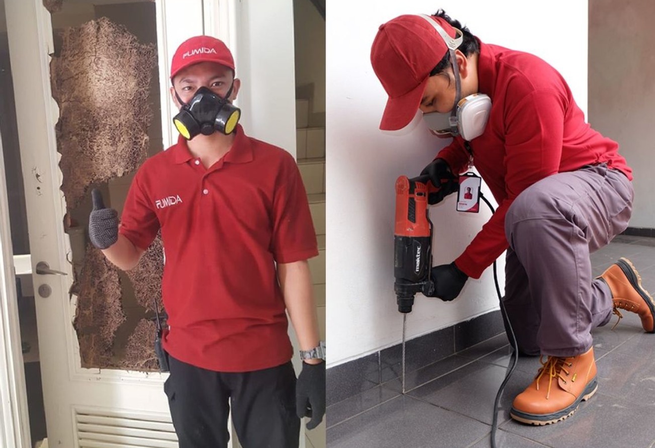 Optimalisasi Pembasmian Rayap di Basmi Rayap Jakarta